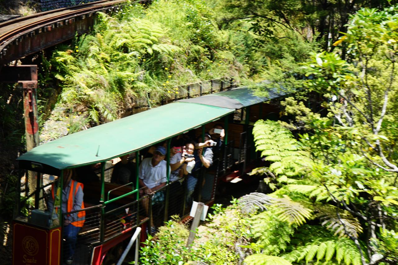 Heiligabend in Coromandel Town