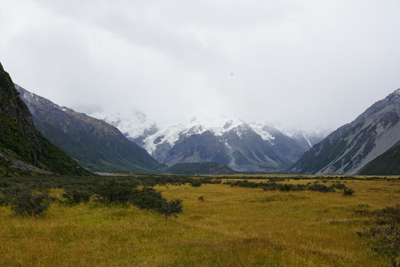 Sommer im Mount Cook National Park?