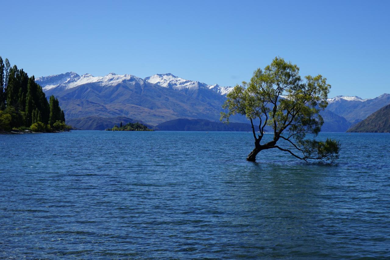 Auf nach Wanaka