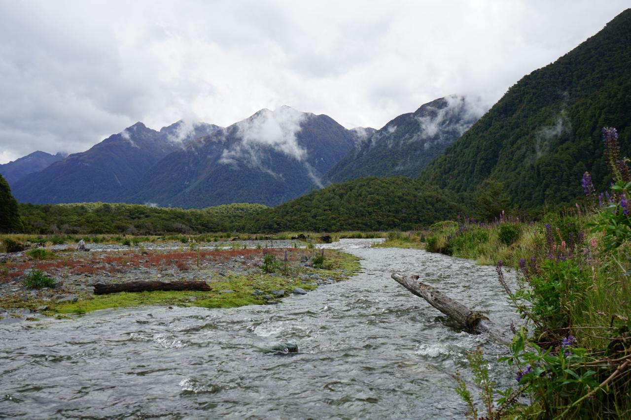 Cascade Creek – eine Stunde vor dem Milford Sound