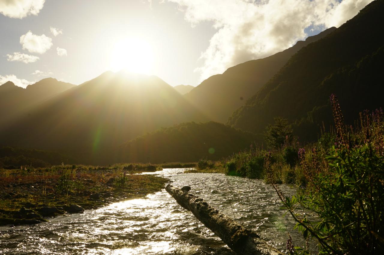 Cascade Creek – eine Stunde vor dem Milford Sound