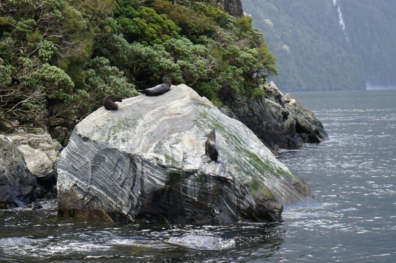 Endlich mal Glück mit dem Wetter – Milford Sound bei Sonne