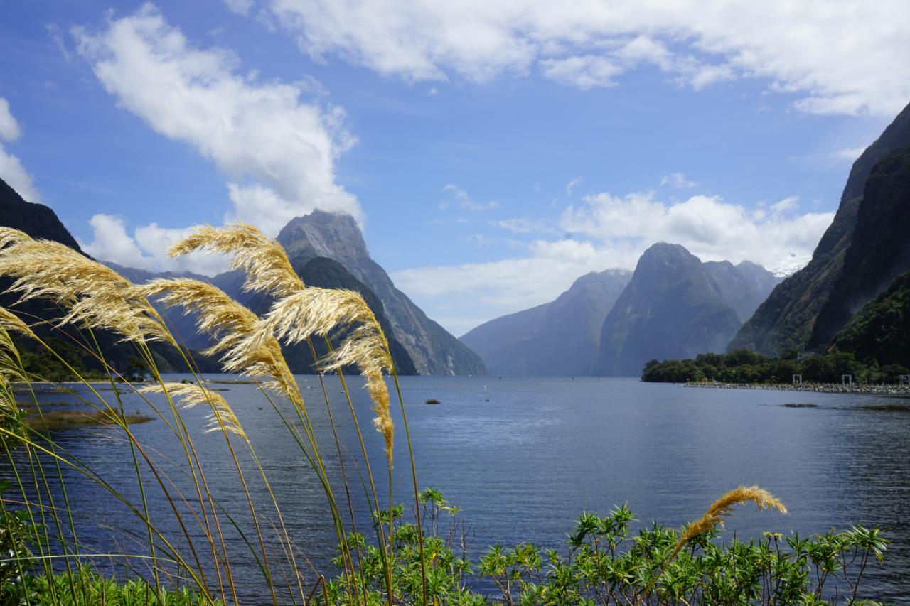 Endlich mal Glück mit dem Wetter – Milford Sound bei Sonne