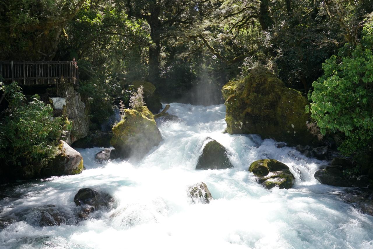 Endlich mal Glück mit dem Wetter – Milford Sound bei Sonne